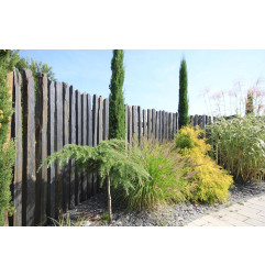 Вера - Палиссаде - Баума Стоун