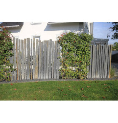 Vera-Palissade-pedra de Bauma