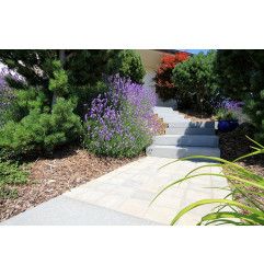 Jersey-caminhada-Bauma Stone