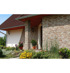 加州硬币1 - 混凝土板 - 宝马石