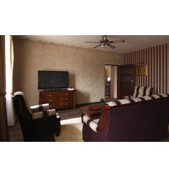 Arena1 عملة - الصفائح الدموية - بواما ستون