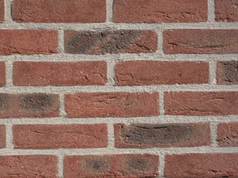 Las plaquetas y la naturaleza de las briquetas