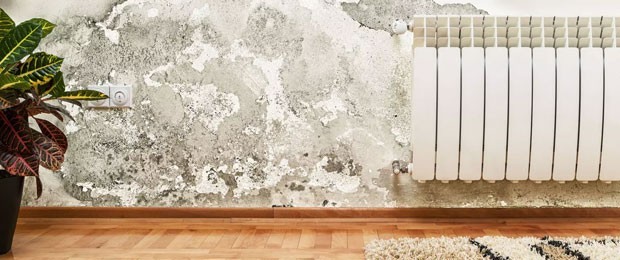 Strijd tegen vocht - Aquaplan