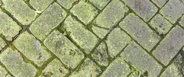 Удаление зеленых отложений - Акваплан