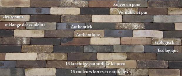 Platelets and Briquettes Nature7