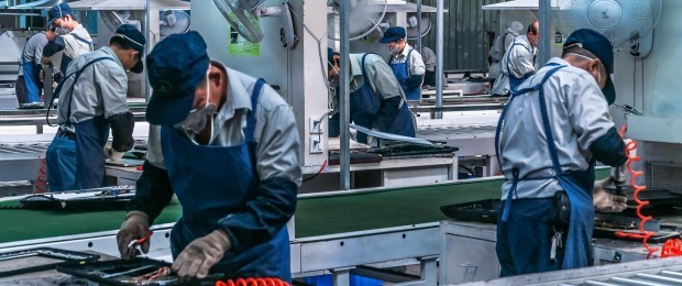 القاعدة البيولوجية - صناعات زيب