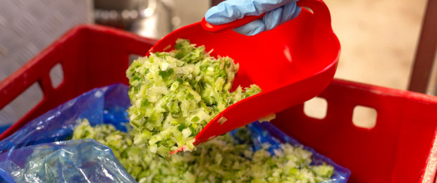 Processamento de alimentos frescos prontos para consumo - Vikan