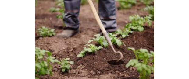 Outils pour travailler le sol & desherber - Polet