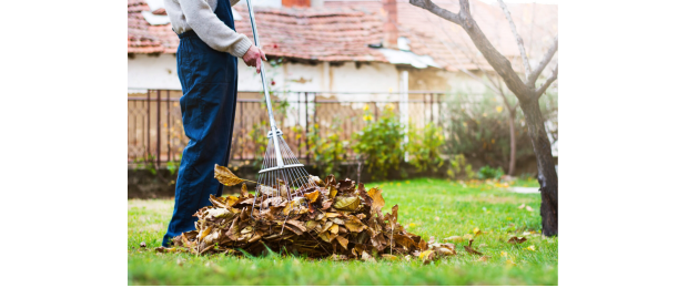 Tools for clearing and maintaining lawns - Polet