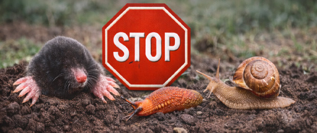 Anti-taupes & nuisibles du sol – Solutions professionnelles