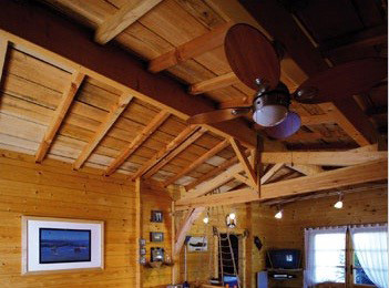 Legno interno - Owatrol Pro