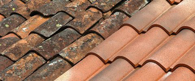 清洁用品 - 红陶 - Guard Industrie