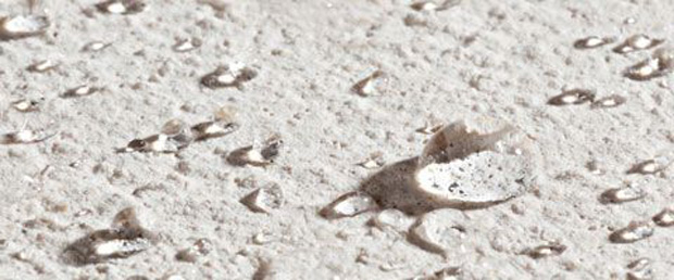 Protección de los recubrimientos