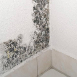 Binnenmuren - Rubson