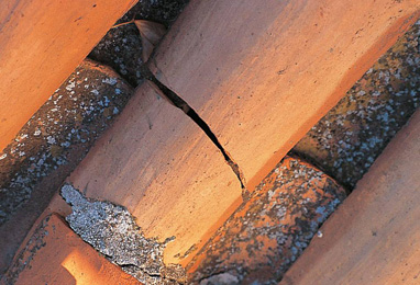 密封粘胶 - 鲁布森