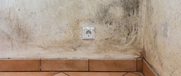 Interior wall - Aquaplan