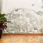 Lutte contre l'humidité