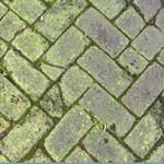 Verwijder groene aanslag