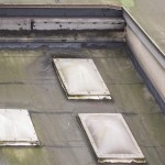 Anti-algues - Zep Industries