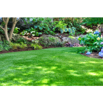 Attrezzi per la pulizia e la manutenzione dei prati