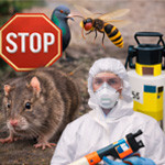 Nuisibles – Solutions professionnelles & matériel anti-intrusion