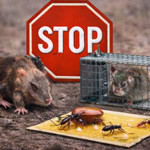 Pièges anti-nuisibles – Matériel professionnel