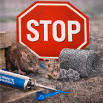 Anti-intrusion nuisibles – Protection du bâtiment