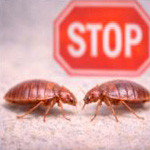 Anti-punaises de lit