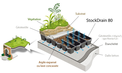 Optimal water retention in green roofs.