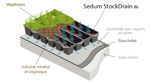 Bac de sédum pour la végétalisation de toiture extensive