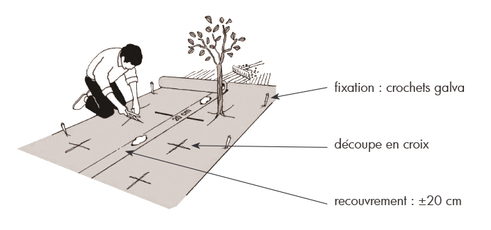 Weedtex-implementatie